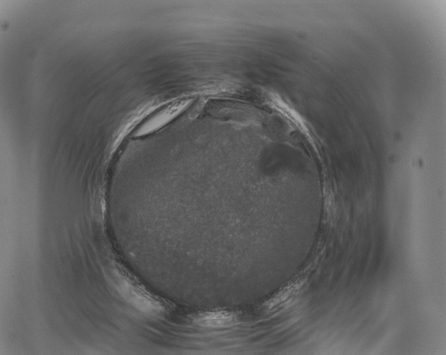 X0000067500059200604101241