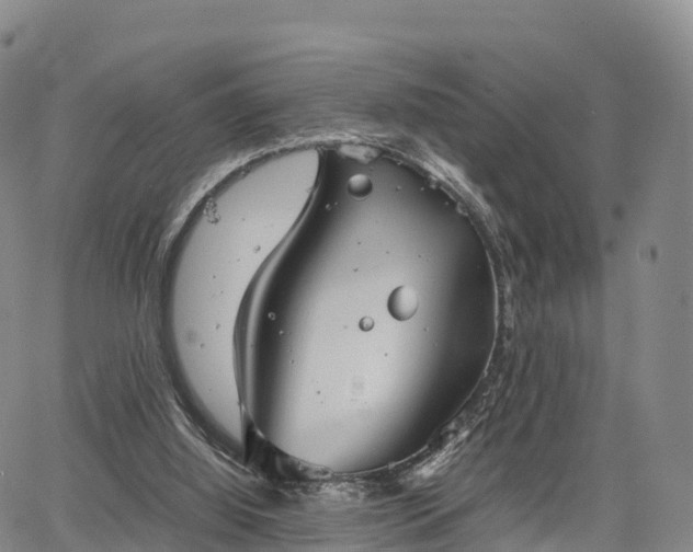 X0000067500060200604101241