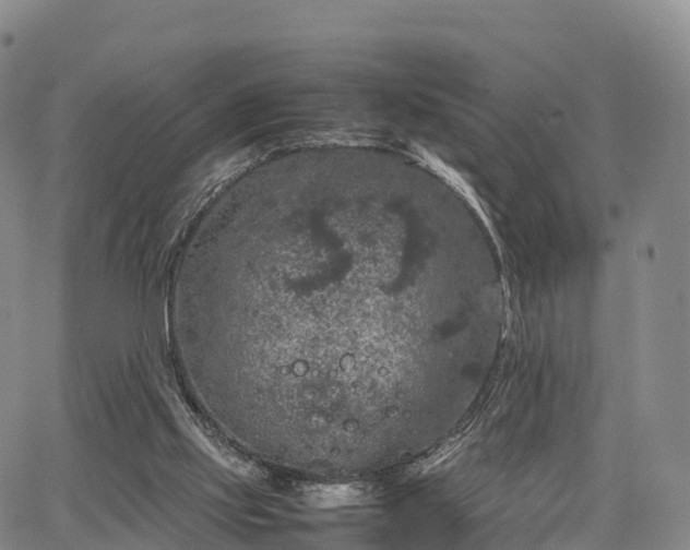 X0000067500061200604101241