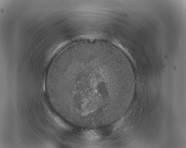 X0000067500062200604101241