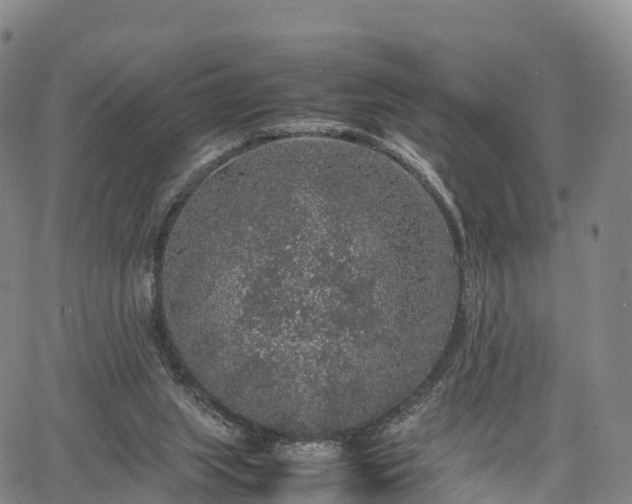 X0000067500063200604101241