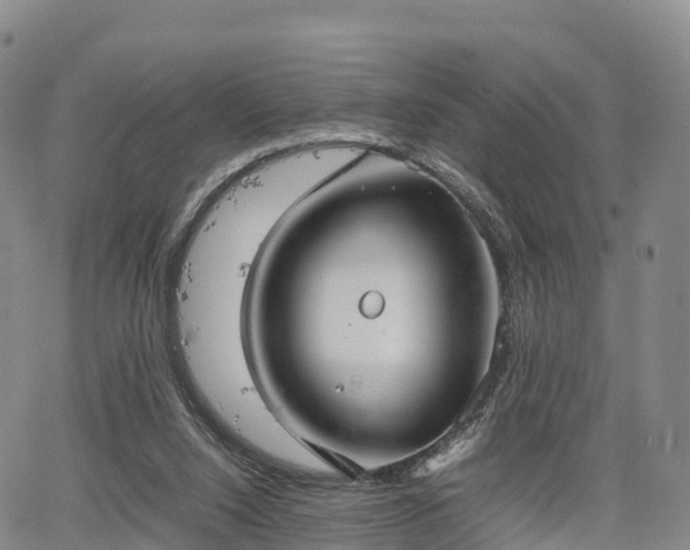 X0000067500064200604101241