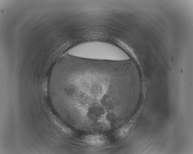 X0000067500065200604101241