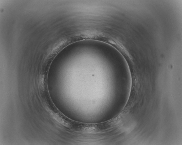 X0000067500066200604101241