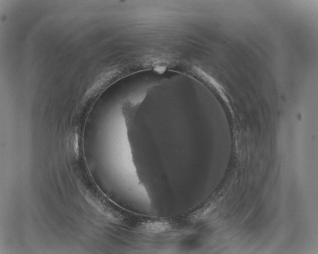 X0000067500067200604101241