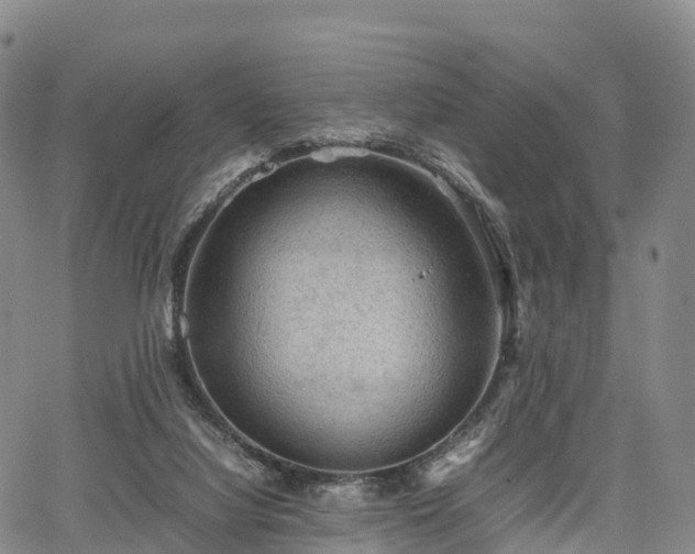 X0000067500068200604101241