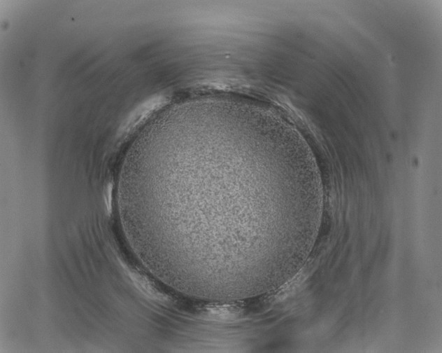 X0000067500070200604101241