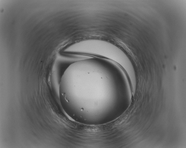 X0000067500071200604101241