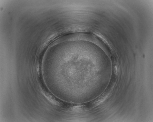 X0000067500072200604101241