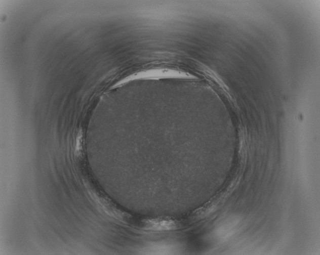 X0000067500073200604101241