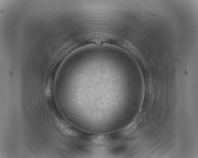 X0000067500074200604101241