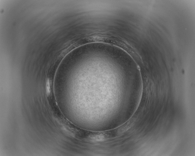 X0000067500075200604101241