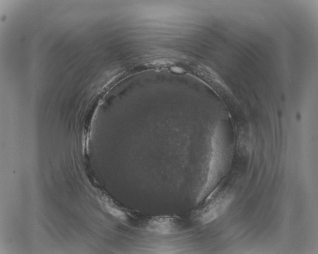 X0000067500076200604101241