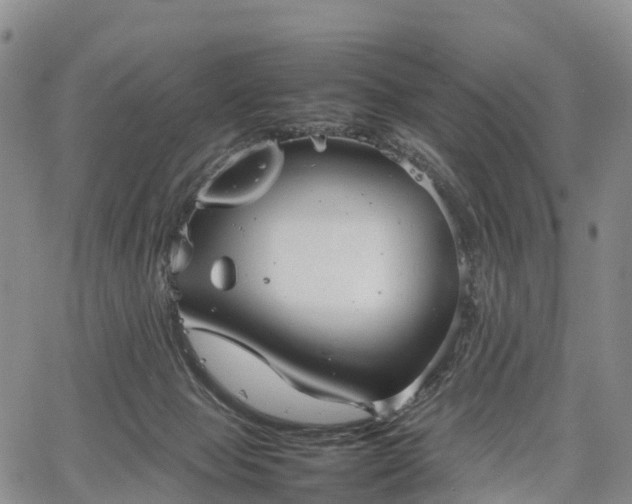 X0000067500077200604101241