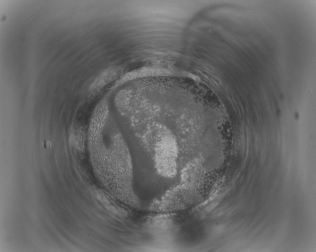 X0000067500078200604101241