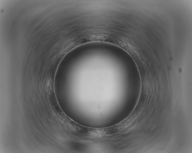 X0000067500079200604101241