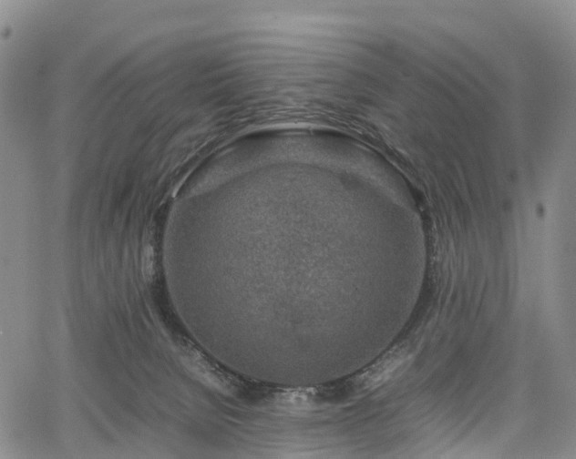 X0000067500080200604101241