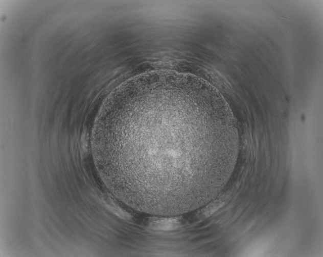 X0000067500081200604101241