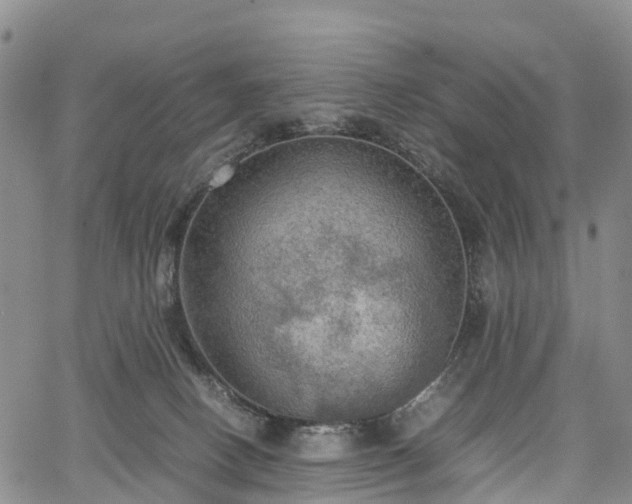 X0000067500082200604101241