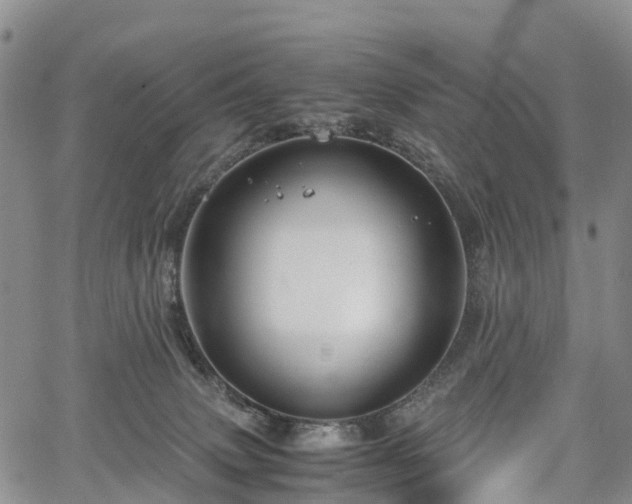 X0000067500083200604101241