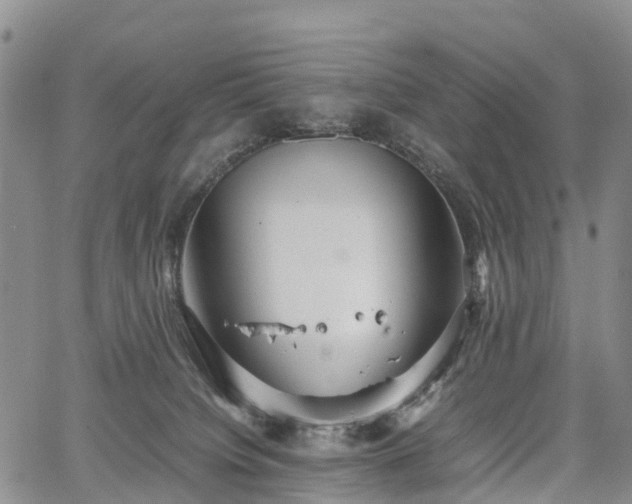 X0000067500084200604101241