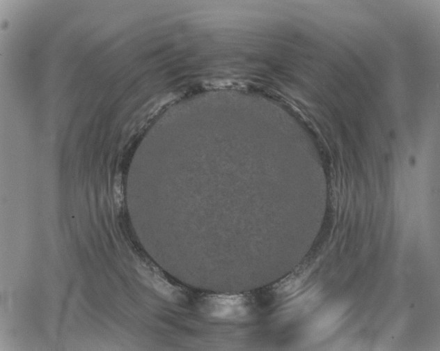 X0000067500085200604101241