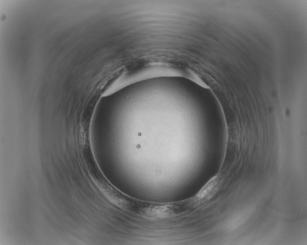 X0000067500086200604101241