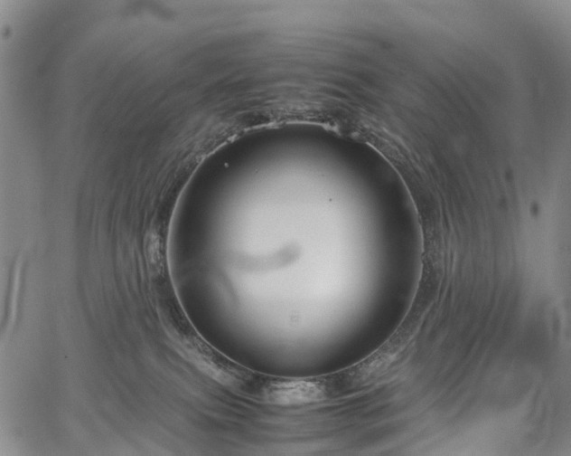 X0000067500087200604101241