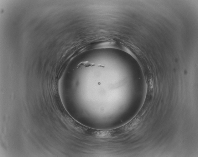 X0000067500088200604101241