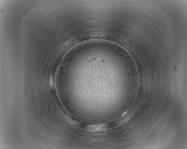 X0000067500089200604101241