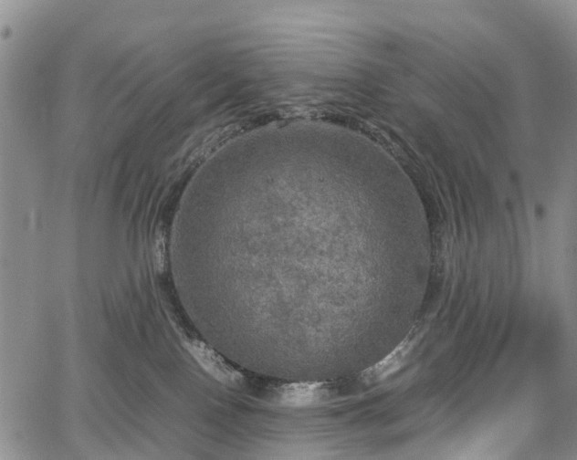 X0000067500090200604101241