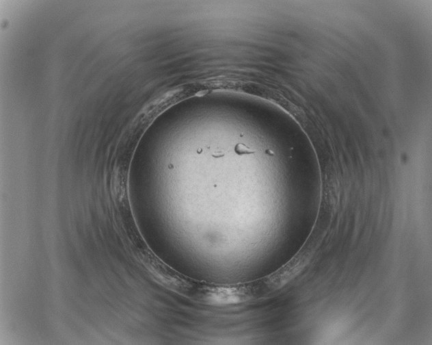 X0000067500091200604101241