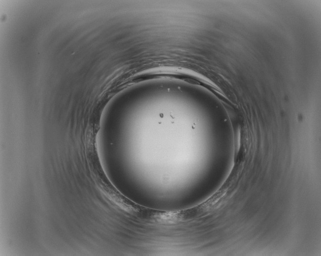 X0000067500092200604101241