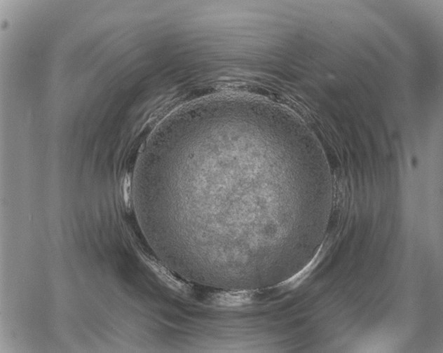 X0000067500094200604101241