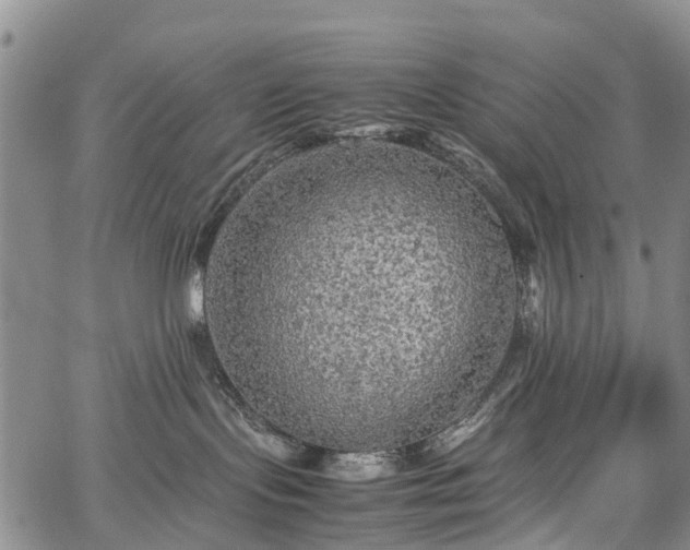 X0000067500095200604101241