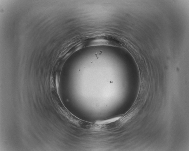 X0000067500096200604101241