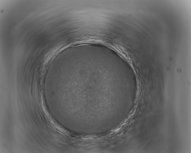 X0000067500097200604101241