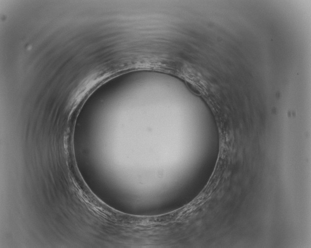 X0000067500098200604101240