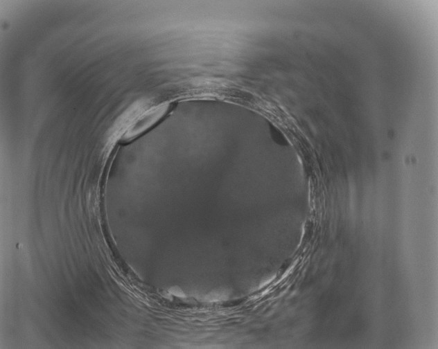 X0000067500099200604101240