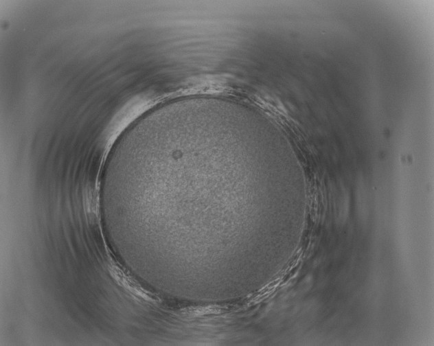 X0000067500100200604101240