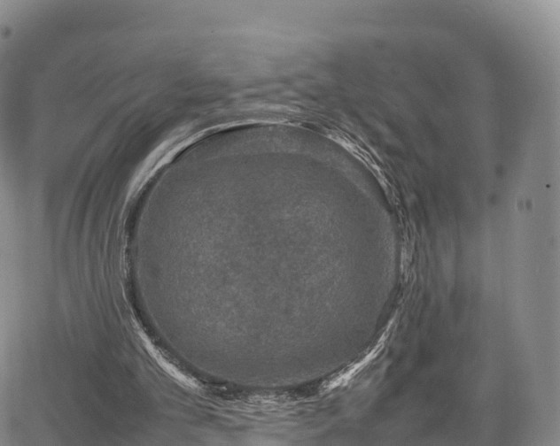 X0000067500101200604101240