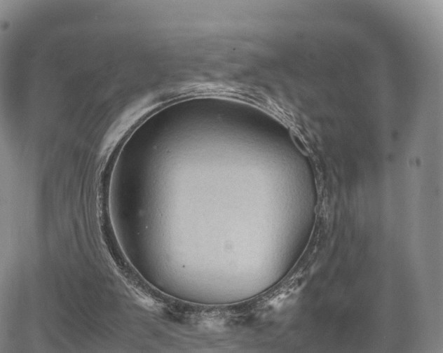 X0000067500103200604101240