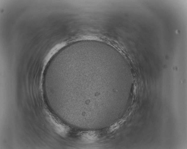 X0000067500104200604101240