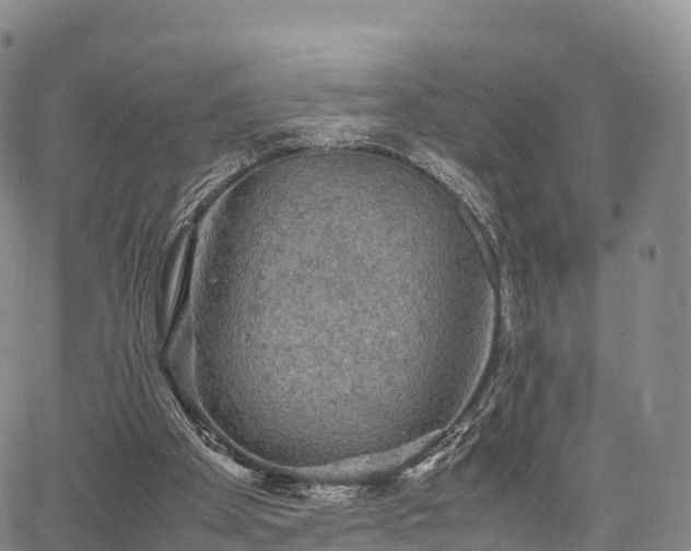 X0000067500105200604101240