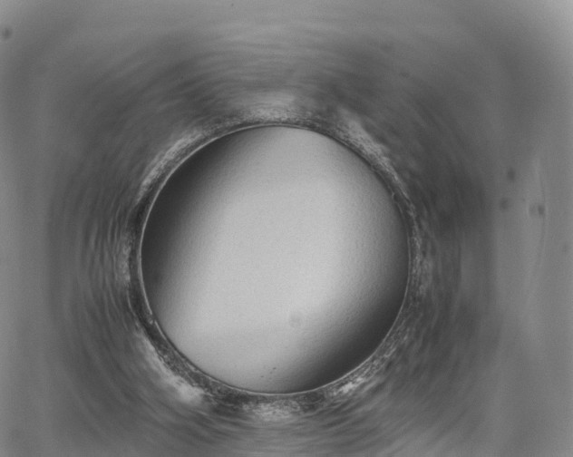 X0000067500106200604101240