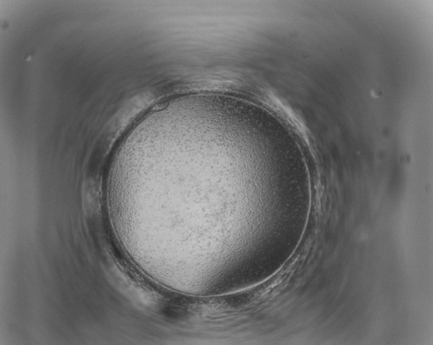 X0000067500107200604101240