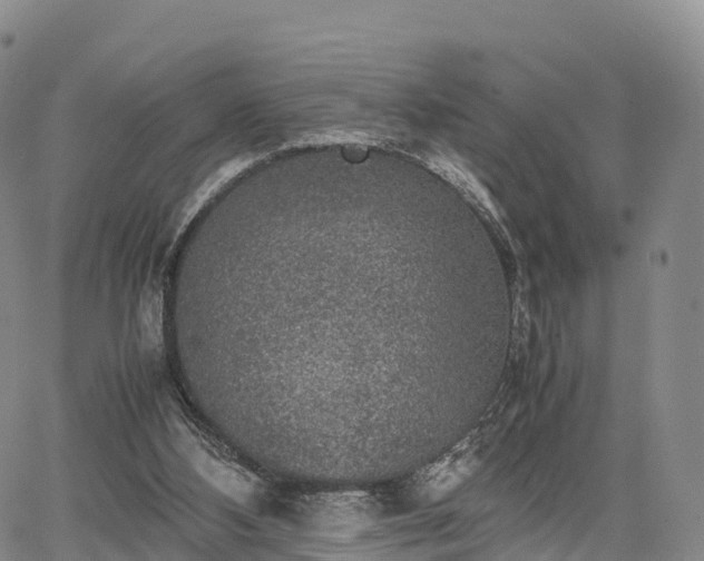 X0000067500108200604101240