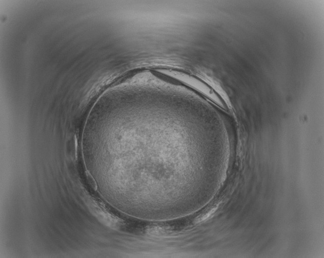 X0000067500109200604101240