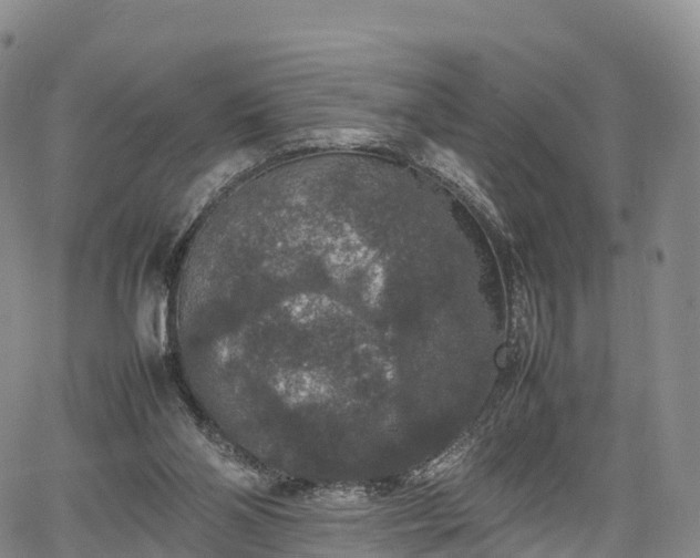 X0000067500110200604101240