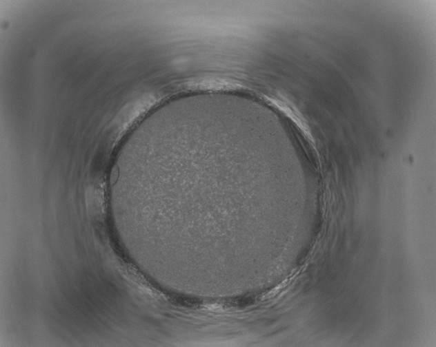 X0000067500111200604101240